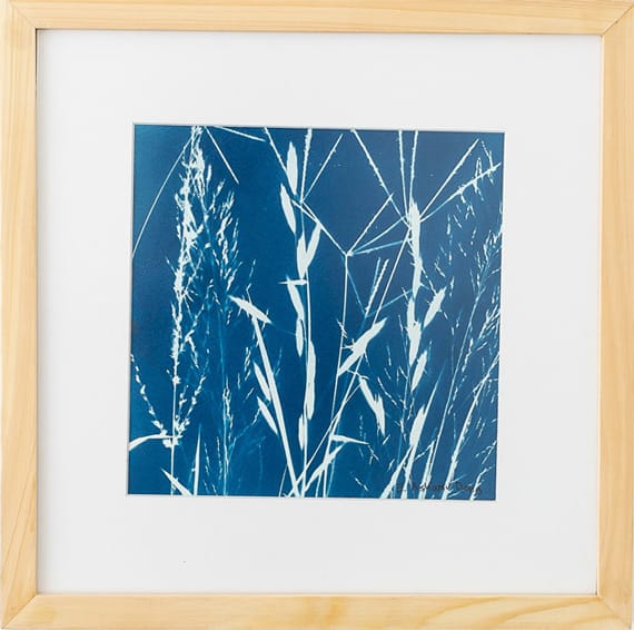 Before We Cut the Grass - cyanotype art by Elizabeth Deng