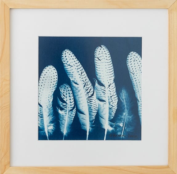 Cyanotype of bird feathers on a wooden frame by African artist Elizabeth Deng